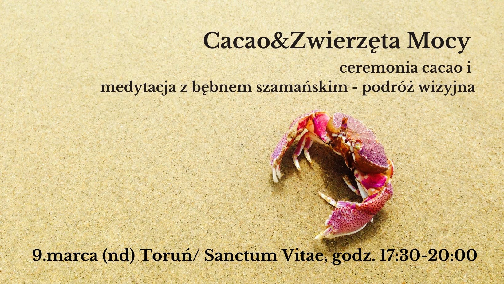 Baner wydarzenia Cacao i Zwierzęta Mocy, 9 marca 2025, Sanctum Vitae Toruń