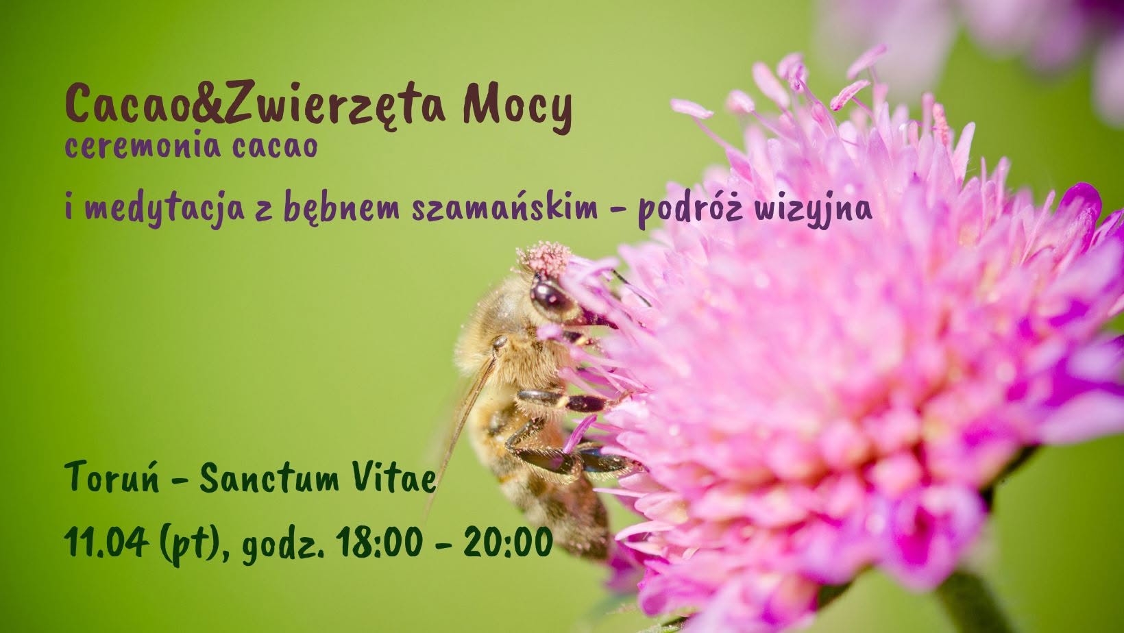 Baner wydarzenia Cacao i Zwierzęta Mocy, 11 kwietnia 2025, Sanctum Vitae Toruń